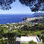 Panorama *